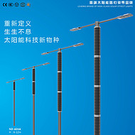 Double headed ultra bright solar street lights