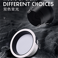 FCO1 Bi-Colour Variable Downlight