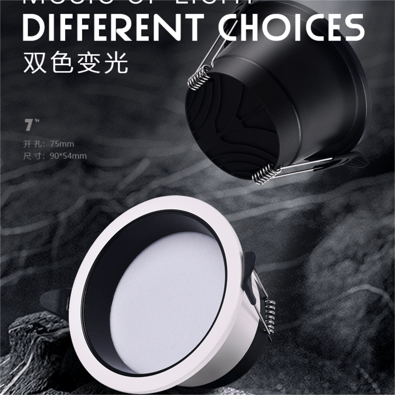 FCO1 Bi-Colour Variable Downlight