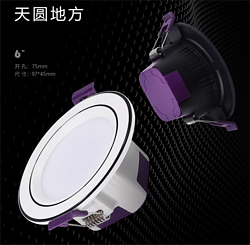 Silver Pig Series Downlight