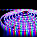 Neon Decorative LED Strip Light