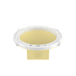 LED Bluetooth Music Fruit Basket Light