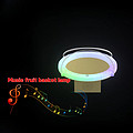 LED Bluetooth Music Fruit Basket Light
