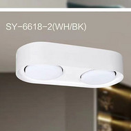 LED double head box lamp down light
