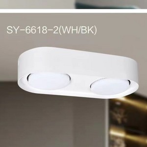LED double head box lamp down light