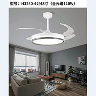 Living Room bedroom with fan ceiling light fan Lamp