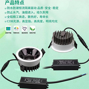 COB High Brightness Spotlight