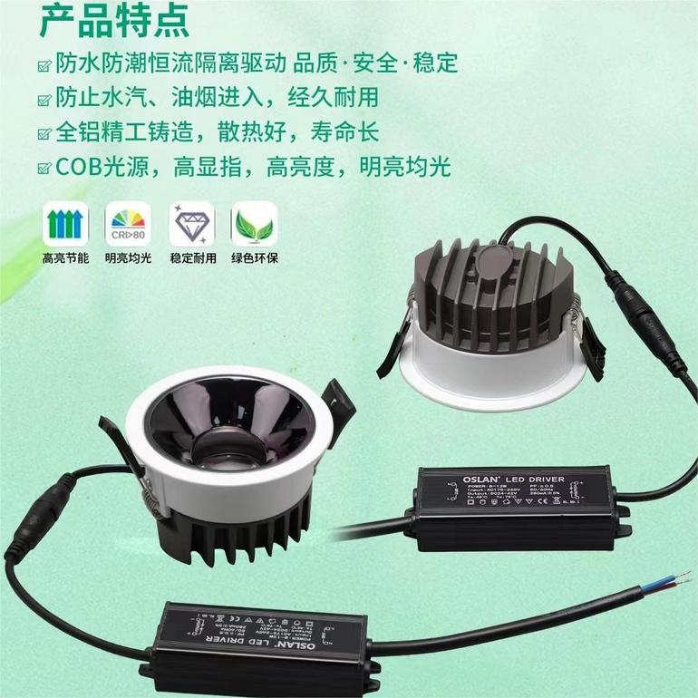 COB High Brightness Spotlight