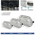 Explosion proof and dustproof protective cover lamp