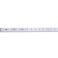 Outdoor Waterproof LED Strip Light 8mm 220V