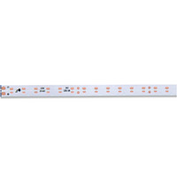 Outdoor Waterproof LED Strip Light 8mm 220V