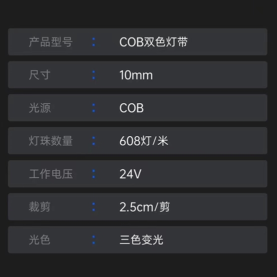 双色·变光高亮装饰灯带