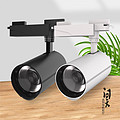 Anti glare black and white dual color track light