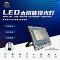 Intelligent timed remote control LED floodlight