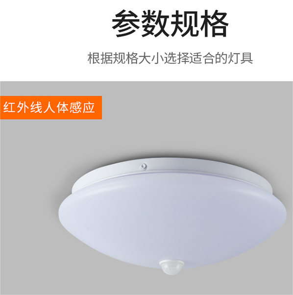 Intelligent human body induction ceiling light