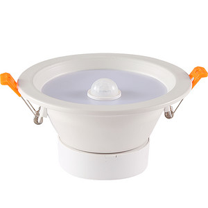 Commercial human body induction down light