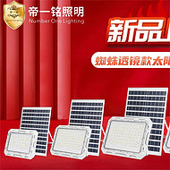 Spider Lens Solar Floodlight