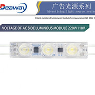 Advertising luminous module lights