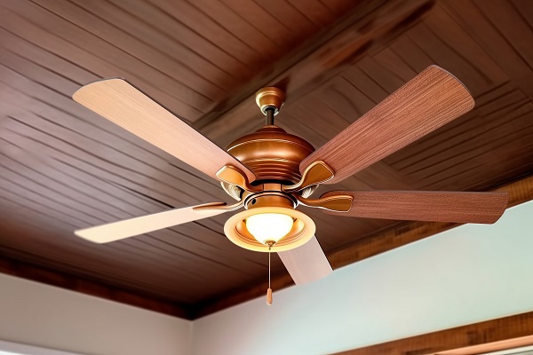 What Are the Key Considerations When Purchasing a Fan Light?