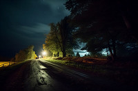 What Are the Advantages of Magnolia-Shaped Steel Landscape Road Lights?