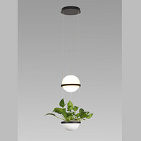 Industrial style creative green plant chandelier