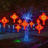 LED Chinese New Year outdoor luminous color lights landscape lights