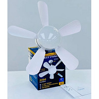 5-Blade Straight Blade Fan Light Detachable