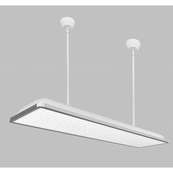 Office LED educational light