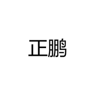 温州市正鹏电器有限公司