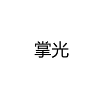 中山市掌光光电科技有限公司