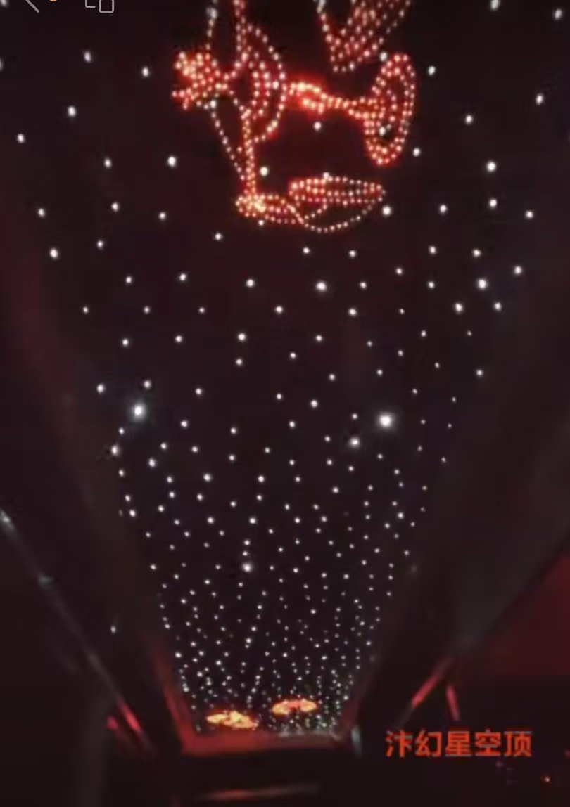 星空顶6.jpg