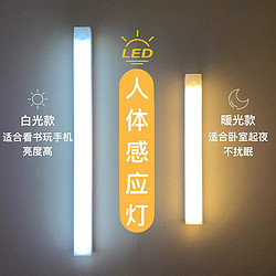 LED智能感应长条灯