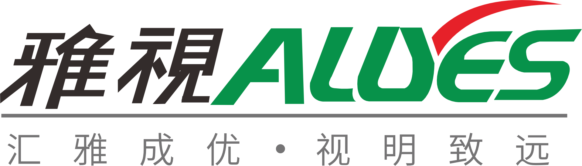 雅视科技(中山)有限公司