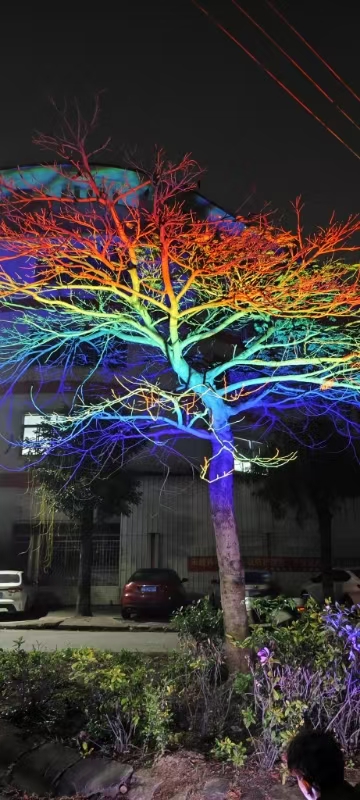 LED彩色照树灯