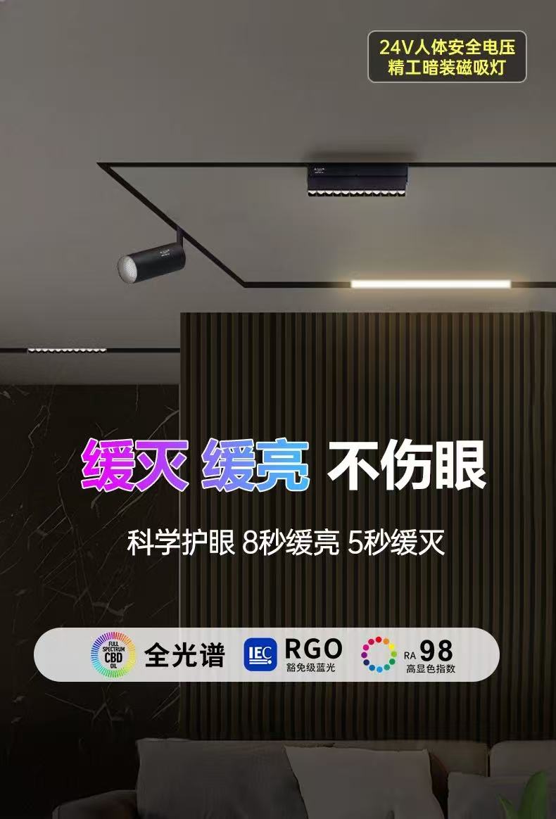 金百丽缓亮幻灭磁吸灯.jpg