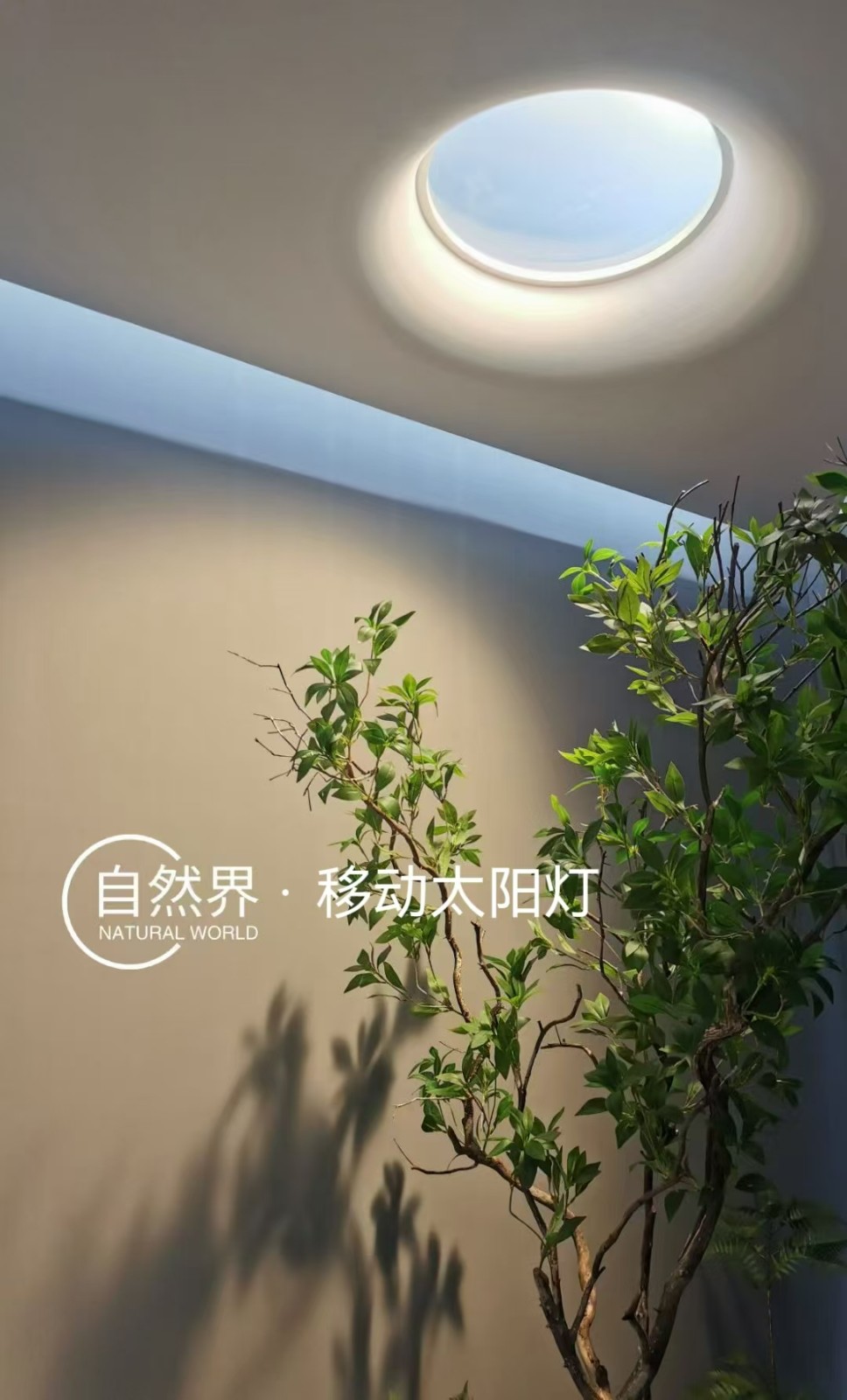 特恩斯移动太阳灯.jpg