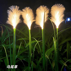 马尾草灯