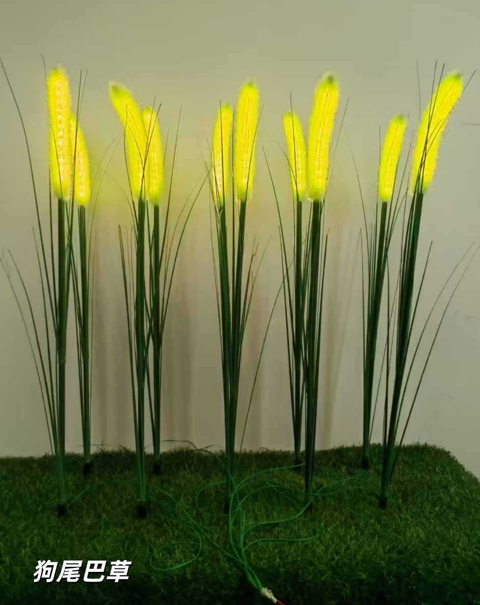 狗尾巴草