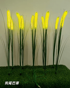 狗尾巴草