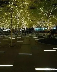 园林亮化