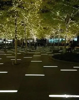 园林亮化