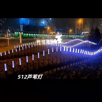 512芦苇灯