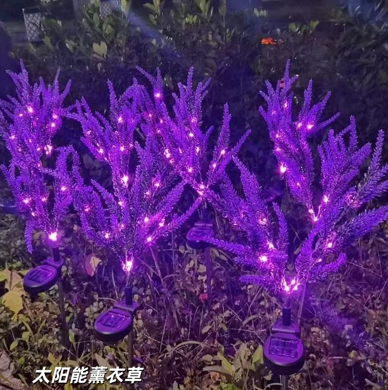 太阳能薰衣草