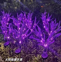 太阳能薰衣草