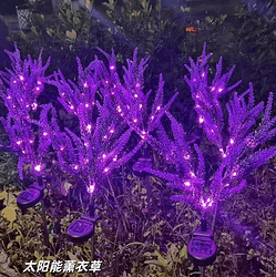 太阳能薰衣草