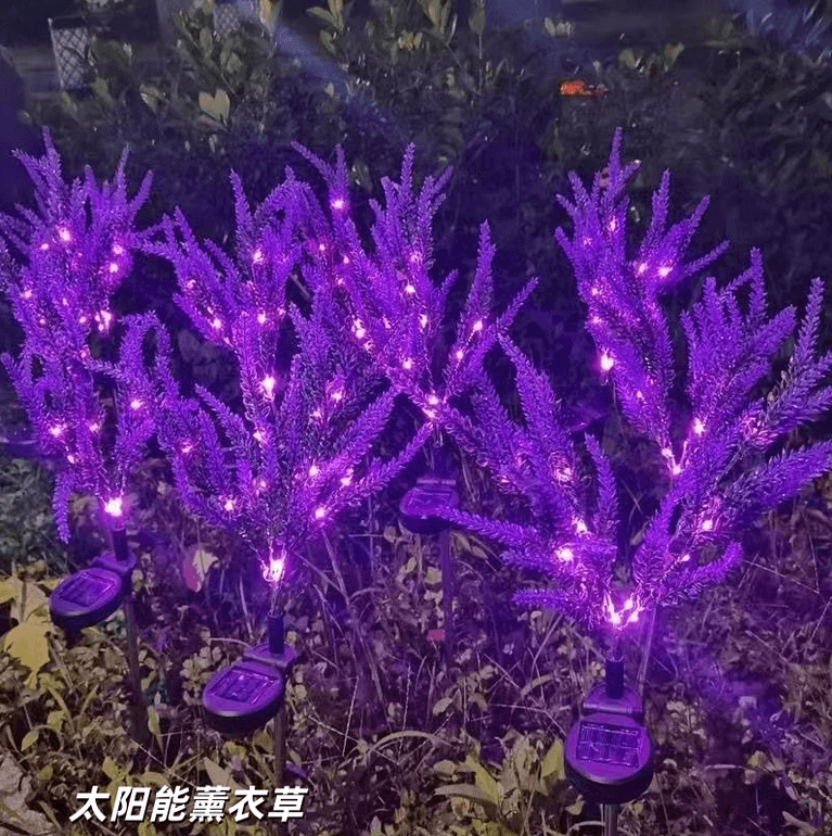 太阳能薰衣草