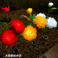 太阳能牡丹花