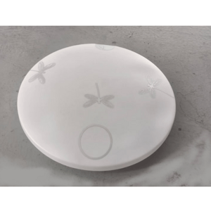 Non flicker concealed corridor ceiling light