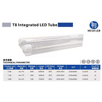 T8一体化长条灯管