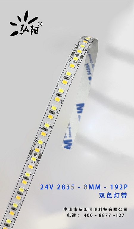 24V-2835-8MM-192P 双色变光